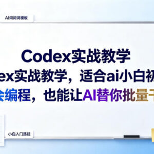 Codex零代码AI实战教学 零基础小白也能掌握AI批量干活技巧-雨叶虚拟资源网