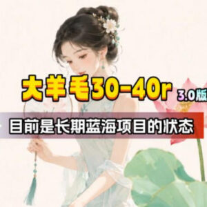 流量体联盟蓝海羊毛项目解析 单账号单期赚30-40元可矩阵操作适合新手-雨叶虚拟资源网