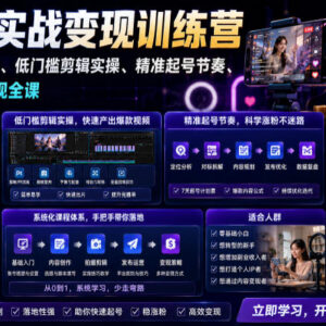 零基础多类目账号起号涨粉实战 新手可落地变现实操训练营-雨叶虚拟资源网