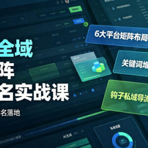 短视频全域钩子矩阵搜索排名实战课 多平台布局AI批量提效-雨叶虚拟资源网