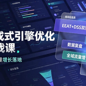 GEO生成式引擎优化进阶实战课 EEAT+DSS双驱动流量增长落地教程-雨叶虚拟资源网