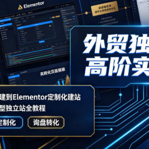 外贸B端高转化询盘独立站 从基础搭建到Elementor定制实操教程-雨叶虚拟资源网