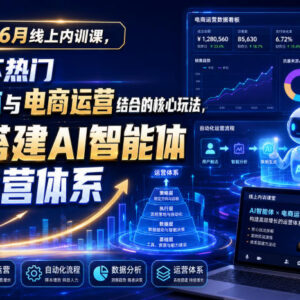 6月AI智能体+电商运营内训课 核心玩法及体系搭建教程-雨叶虚拟资源网