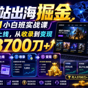零基础游戏站出海实战课 从选词到变现全流程实操教学-雨叶虚拟资源网