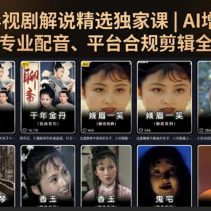 影视解说全套落地实操课 含AI提示词文案配音合规剪辑教学-雨叶虚拟资源网