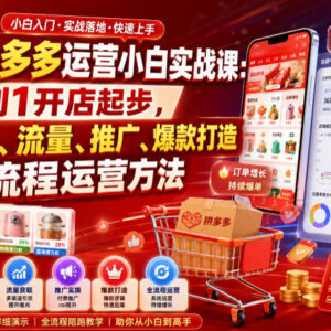 2026拼多多小白运营实战课 从0到1掌握全流程开店运营方法-雨叶虚拟资源网