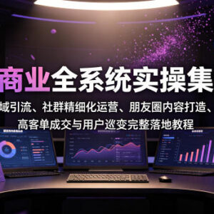 私域商业全系统实操课 IP定位引流运营成交裂变完整落地教程-雨叶虚拟资源网