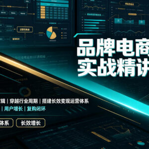 品牌电商运维实战精讲课程 吃透落地逻辑搭建长效变现运营体系-雨叶虚拟资源网