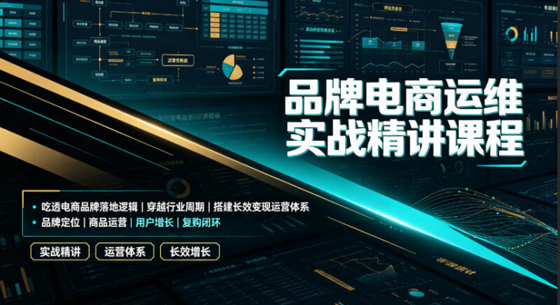 品牌电商运维实战精讲课程 吃透落地逻辑搭建长效变现运营体系