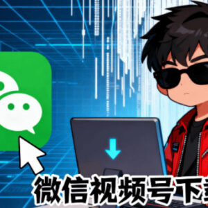 Github热门视频号下载开源工具 一键注入按钮轻松下载视频及直播回放-雨叶虚拟资源网