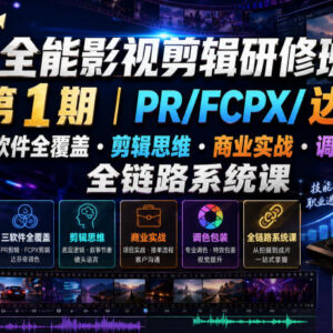 PR/FCPX/达芬奇全覆盖 全能影视剪辑全链路系统研修课程-雨叶虚拟资源网