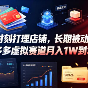 拼多多虚拟赛道实操攻略 普通人轻资产副业获长期被动收入-雨叶虚拟资源网