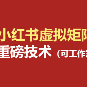 小红书虚拟矩阵5.0实操教程 AI原创虚拟品+自动化发笔记全攻略-雨叶虚拟资源网