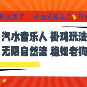 汽水音乐自动刷流自然流玩法 音乐人认证批量矩阵变现指南-雨叶虚拟资源网