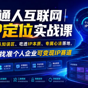 普通人互联网IP定位实战课 纠正认知误区找准个人企业可变现IP赛道-雨叶虚拟资源网