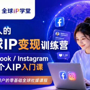 零基础全球社媒运营课 从0搭建Facebook/Instagram个人IP变现体系-雨叶虚拟资源网