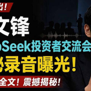 梁文锋DeepSeek投资者交流会录音全文流出 附完整PDF资料-雨叶虚拟资源网