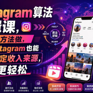 Instagram算法逻辑运营教程 从0搭建账号实现稳定收入全攻略-雨叶虚拟资源网