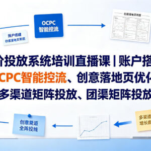 竞价投放系统培训直播课 账户搭建OCPC优化及副业变现全阶实战-雨叶虚拟资源网