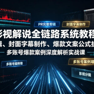 影视解说全链路系统教程 PR剪辑封面文案爆款案例实战教学-雨叶虚拟资源网