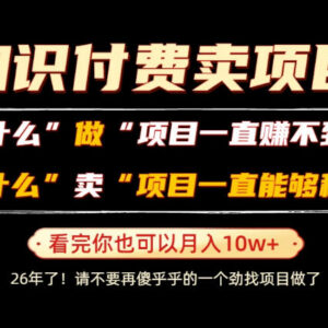普通人靠卖项目月入10W+逻辑解析 卖项目稳赚不赔原因揭秘-雨叶虚拟资源网