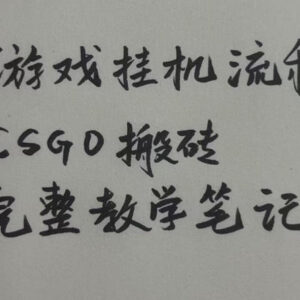 CSGO游戏挂G搬砖全流程笔记 小白易上手的饰品捡漏盈利玩法-雨叶虚拟资源网