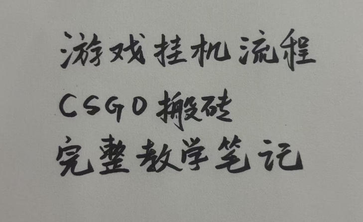CSGO游戏挂G搬砖全流程笔记 小白易上手的饰品捡漏盈利玩法