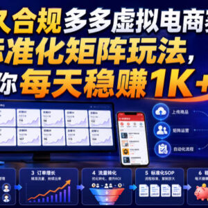 拼多多合规虚拟电商标准化矩阵玩法 低门槛稳定变现实操教程-雨叶虚拟资源网