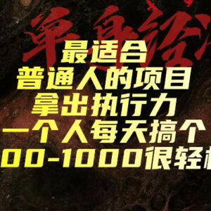 适合普通人入局的低门槛蓝海副业项目 单人日均赚800-1000长期可做-雨叶虚拟资源网