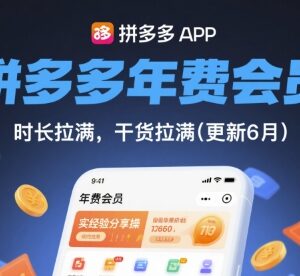 2026年8月更新 拼多多年费会员实操运营干货经验分享-雨叶虚拟资源网