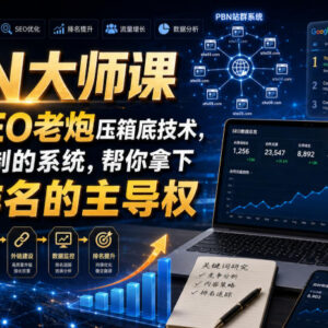13年SEO老炮实操PBN大师课 可复制搜索排名提升系统教程-雨叶虚拟资源网