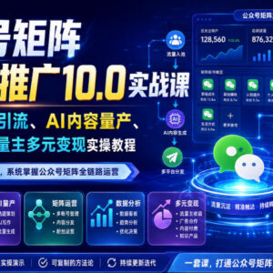 公众号矩阵流量池10.0实战课 全链路引流AI量产运营变现实操教程-雨叶虚拟资源网