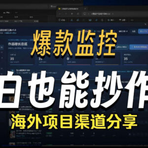 抖音爆款数据监控工具教程 海外网盘拉新渠道玩法分享-雨叶虚拟资源网