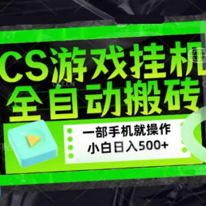 CSGO游戏饰品捡漏搬砖项目详解 新手易上手的稳定实操玩法-雨叶虚拟资源网