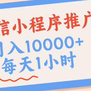 微信小程序推广长期靠谱项目 四种收入来源实操玩法详解-雨叶虚拟资源网