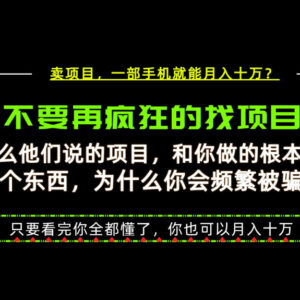 做项目易成炮灰卖项目更稳？底层逻辑拆解及实操教程-雨叶虚拟资源网