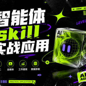 智能体Skill实战应用教程 多场景落地实现工作流程自动化提效-雨叶虚拟资源网