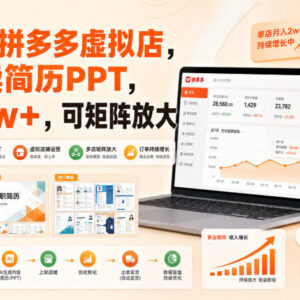 拼多多虚拟店AI简历PPT项目玩法 低门槛可复制盈利模式解析-雨叶虚拟资源网