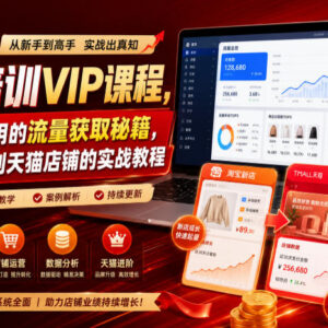 幕思城淘宝天猫运营VIP课程 新店到爆款流量获取全流程实战教程-雨叶虚拟资源网