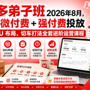2026年拼多多进阶运营课程 含微付费强付费投放SOP SKU布局切车打法-雨叶虚拟资源网