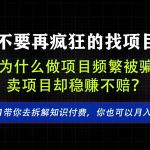 找项目容易被割韭菜?卖项目盈利逻辑与实操玩法全解析-雨叶虚拟资源网