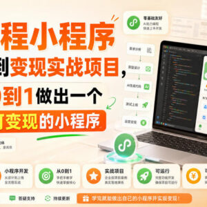 AI编程小程序从入门到变现实战课 0基础可做可运行可变现项目-雨叶虚拟资源网