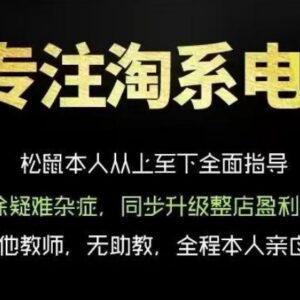 松鼠会电商VIP淘宝运营课程 从基础布局到高阶优化提升流量转化-雨叶虚拟资源网