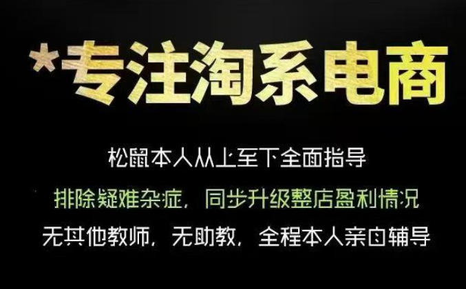 松鼠会电商VIP淘宝运营课程 从基础布局到高阶优化提升流量转化