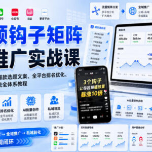 短视频钩子矩阵全域推广实战课 流量布局AI创作私域导流全教程-雨叶虚拟资源网