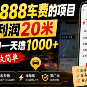 网传收费888的苹果抖音极速版收益项目 单均利润20元易操作-雨叶虚拟资源网