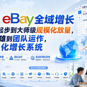 2026年eBay全域增长实操教程 从0基础到团队规模化放量指南-雨叶虚拟资源网