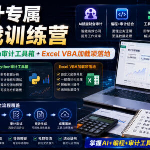 财会审计专属AI实战训练营 学AI协同编程落地Python审计工具箱与VBA插件-雨叶虚拟资源网