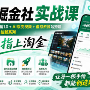 指尖掘金社实战课内容详解 知识付费AI裂变虚拟项目运营教学-雨叶虚拟资源网