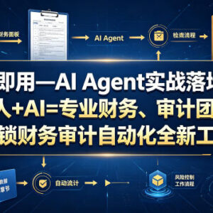 AI Agent财务审计实战落地课 零基础搭建自动化办公提效系统-雨叶虚拟资源网
